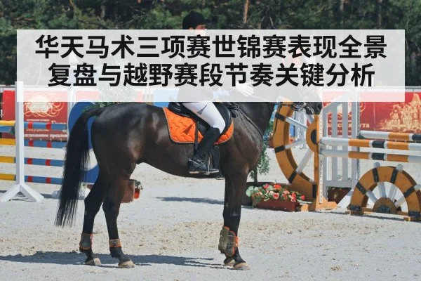 华天马术三项赛世锦赛表现全景复盘与越野赛段节奏关键分析